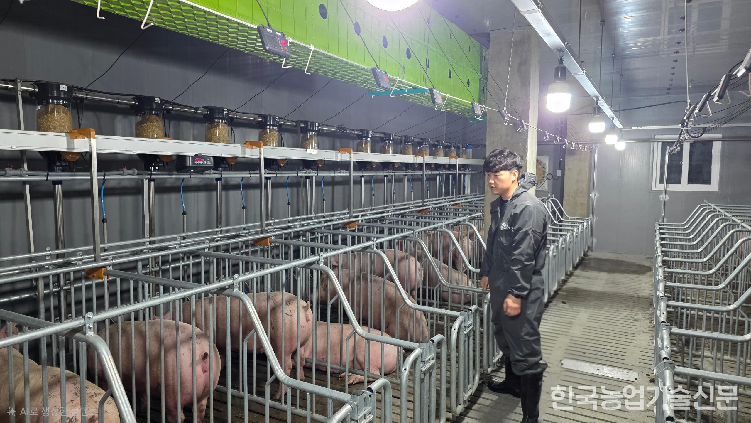 상진축산 이상진 대표가 스마트돈사에 입식한 모돈을 살펴보고 있다.