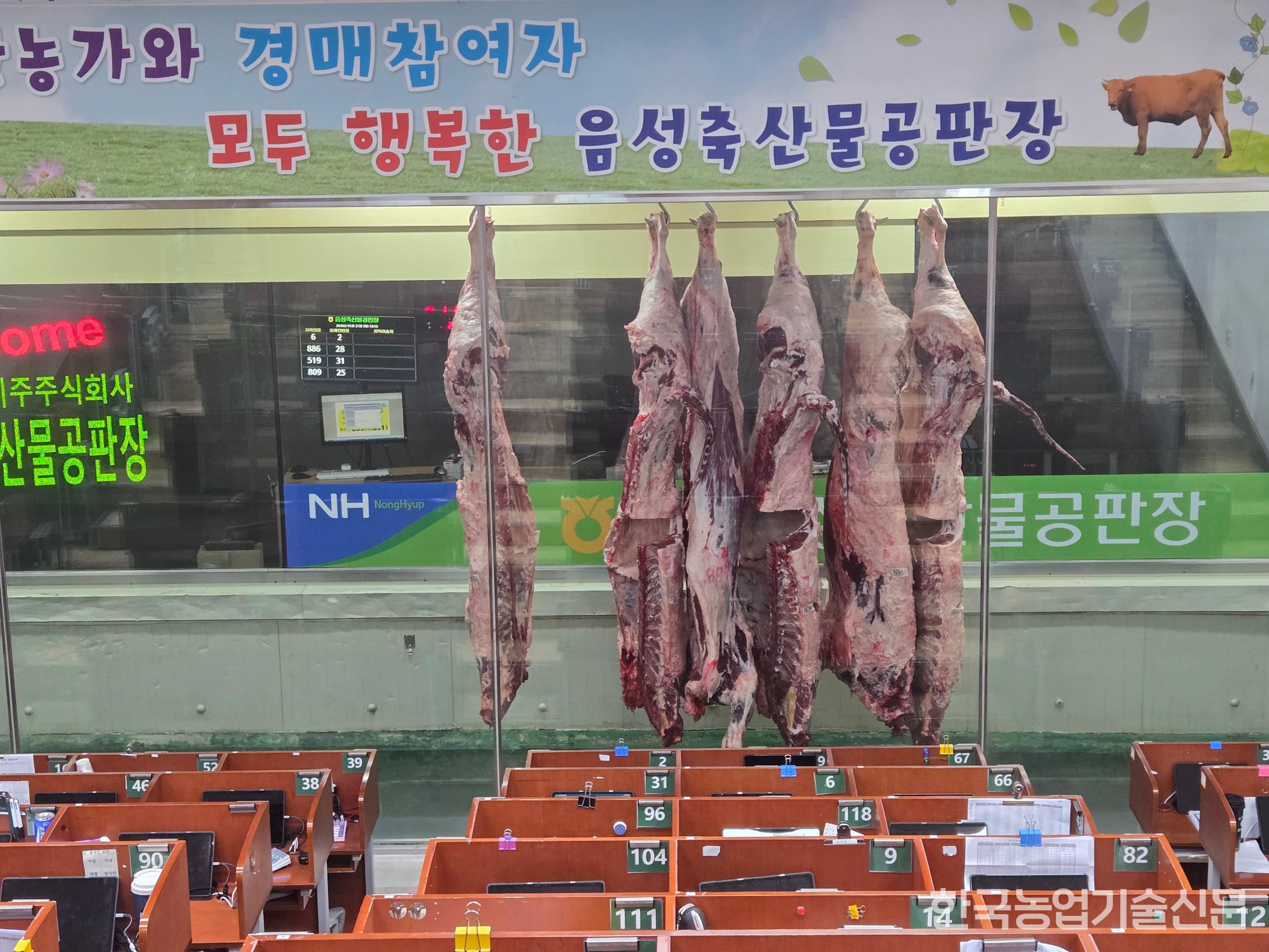 도축 현장은 고령화와 높은 작업 난이도 등의 이유로 인력난에 허덕이고 있다. 사진은 농협음성축산물공판장의 경매 모습.