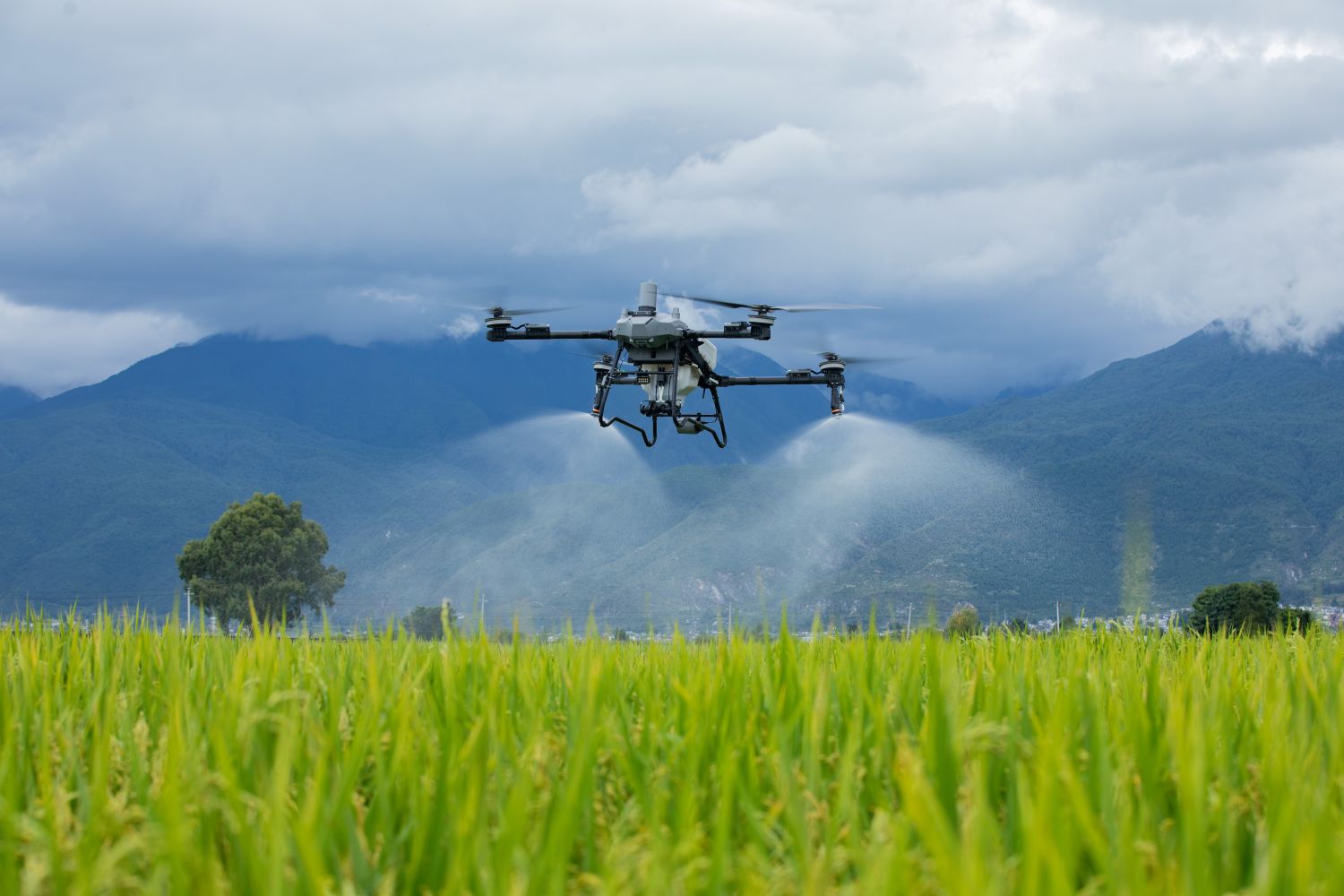 대동이&nbsp;공급하는&nbsp;DJI&nbsp;농업용&nbsp;드론&nbsp;T70P가&nbsp;대규모&nbsp;살포&nbsp;시스템을&nbsp;통해&nbsp;광활한&nbsp;농지&nbsp;작업을&nbsp;하고&nbsp;있다.(사진 제공=대동)