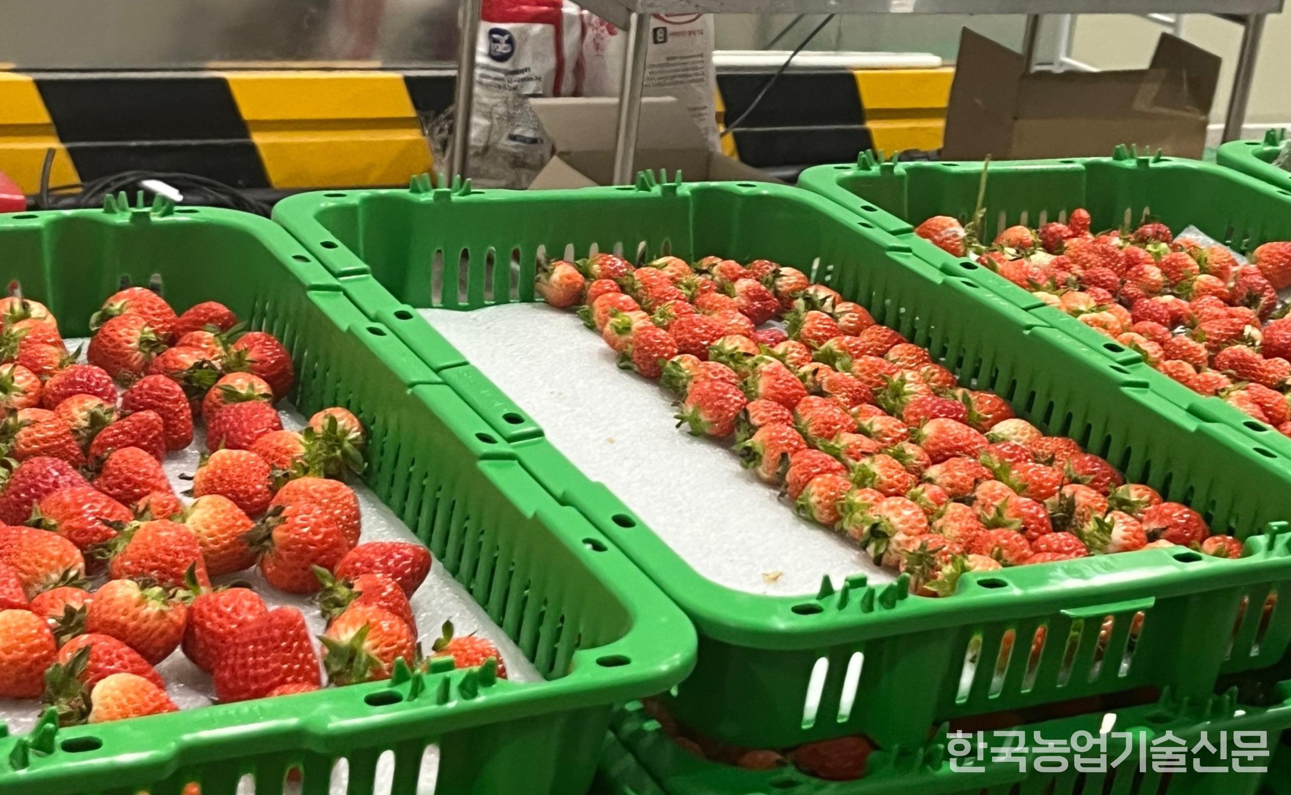 KakaoTalk_20260805_001038839_066.jpg