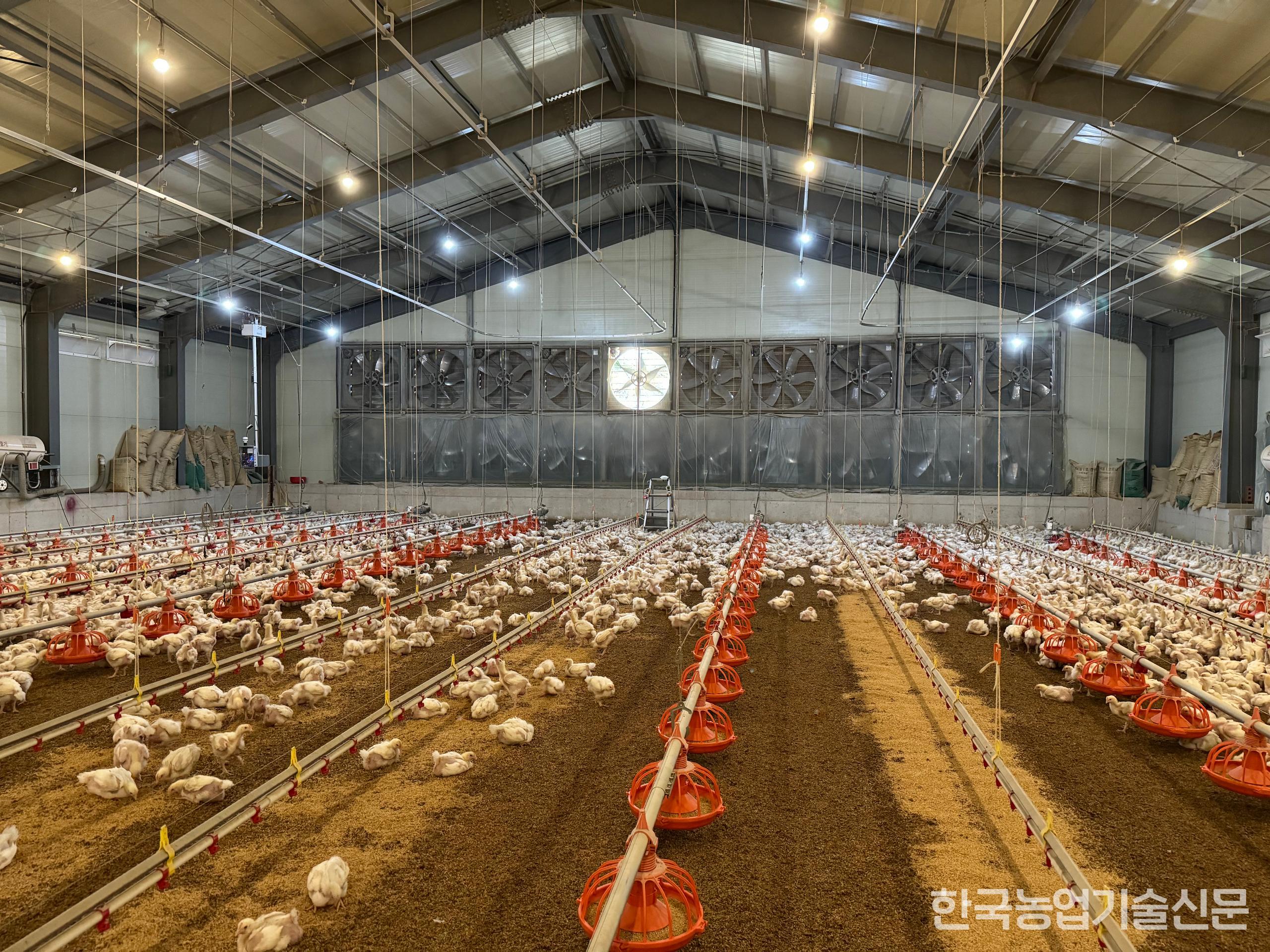 농촌진흥청이 개발한 2세대 스마트팜 실증을 실시한 전북 남원의 육계 농장 전경(사진 제공=농촌진흥청)