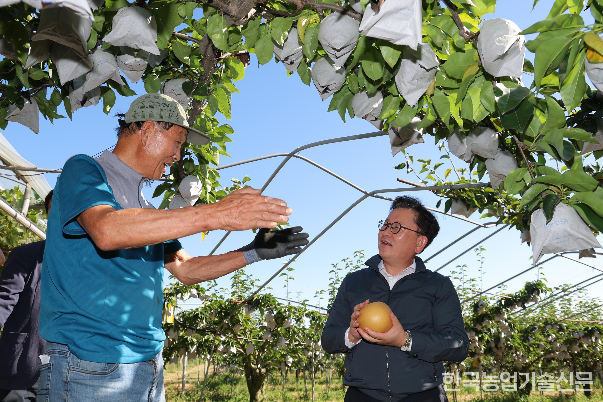 El comisionado Lee Seung-don conversó el 8 de septiembre con agricultores dedicados al cultivo de peras en Seonghwan-eup, ciudad de Cheonan, Chungcheong del Sur, lugar que visitó, sobre la situación de la producción de peras y otros asuntos. (Foto proporcionada por la Administración de Desarrollo Rural)