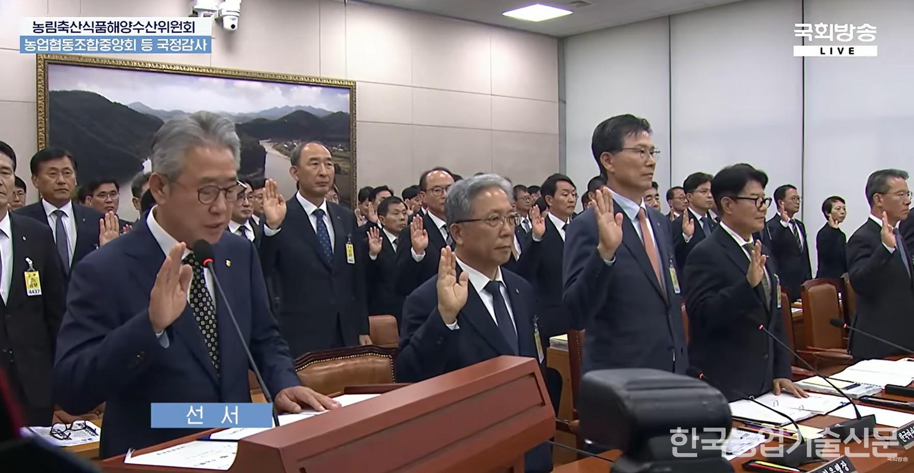 El presidente de la Federación Nonghyup, Kang Ho-dong (primero por la izquierda), y otros ejecutivos y empleados de Nonghyup prestan juramento durante la auditoría parlamentaria realizada el día 16 por el Comité de Agricultura, Alimentación, Asuntos Rurales, Océanos y Pesca de la Asamblea Nacional a la Federación Nonghyup, entre otros. (Foto = captura de YouTube de la Radiodifusión de la Asamblea Nacional)
