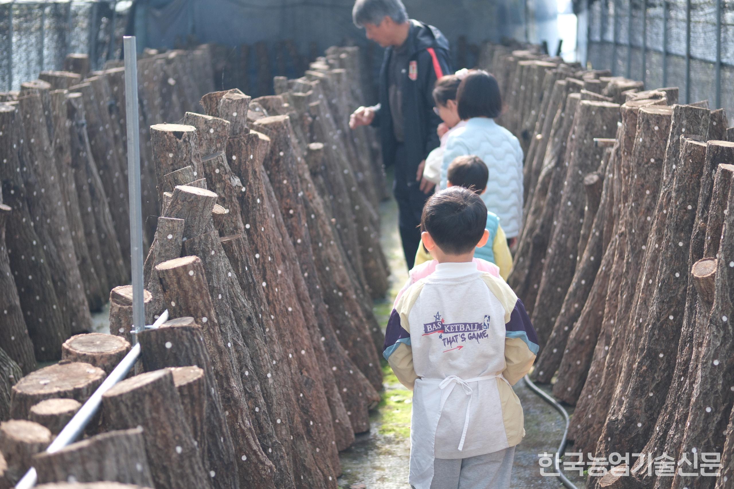 아이들을 대상으로한 버섯 채취 프로그램이 진행되고 있다.