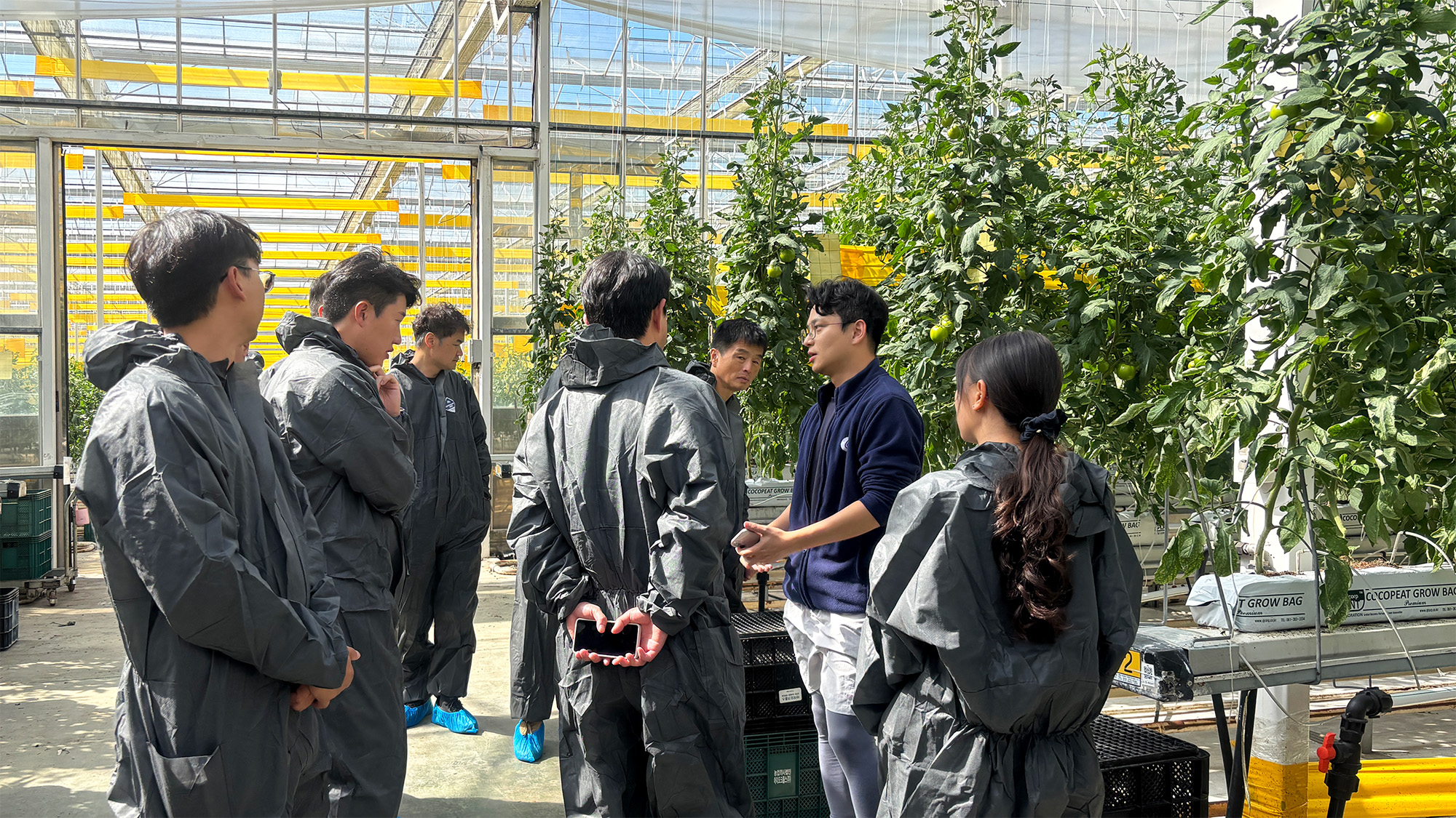 全国农协智能农业支援中心的种植人员正在参观Iocrops智能农场。（图片由Iocrops提供）