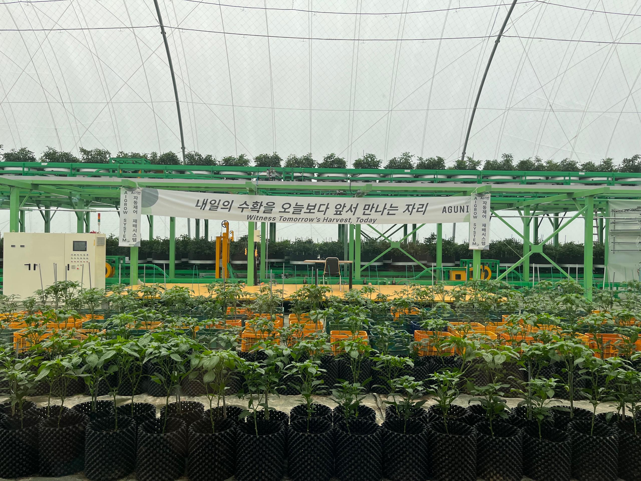 Interior view of the AgDome where functional peppers are being cultivated.