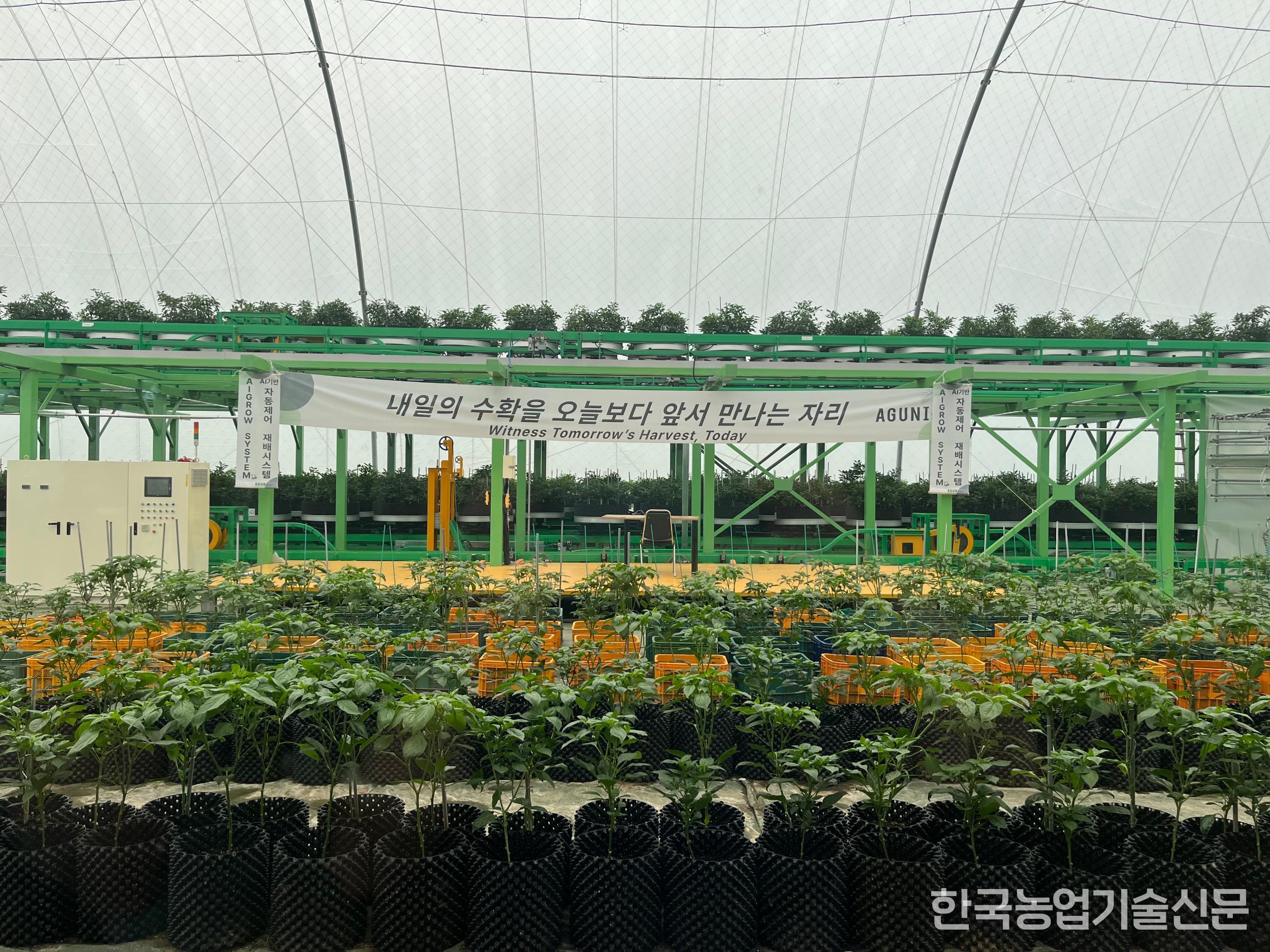 기능성 고추가 재배되고 있는 애그돔 내부 전경.