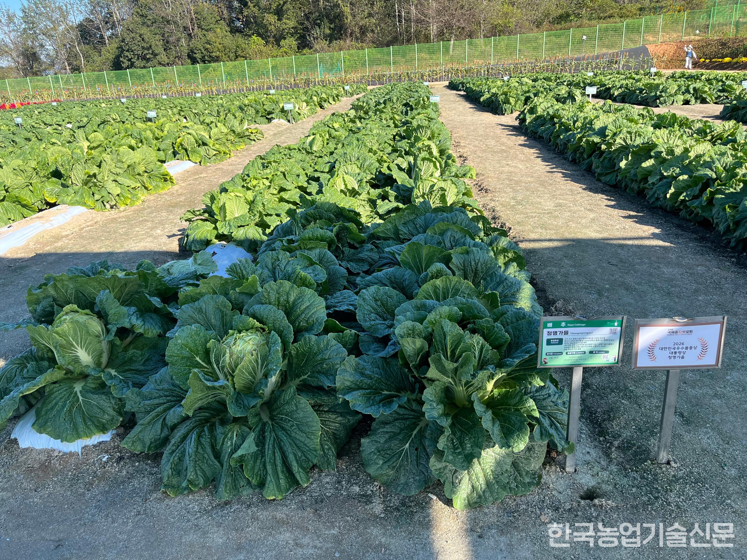 청명가을 전시포 전경.